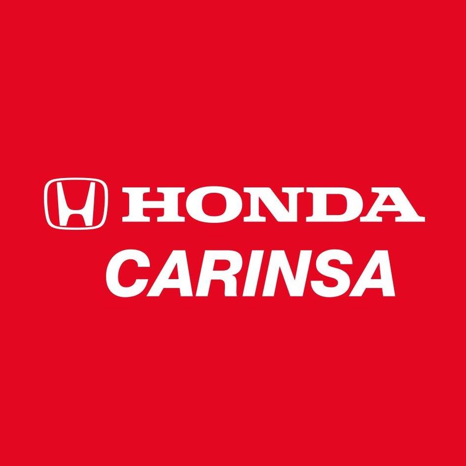 logo carinsa