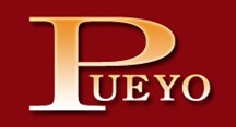 Logo Pueyo